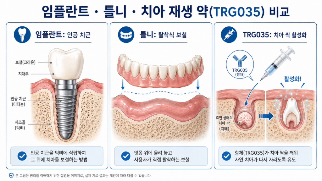 치아 재생